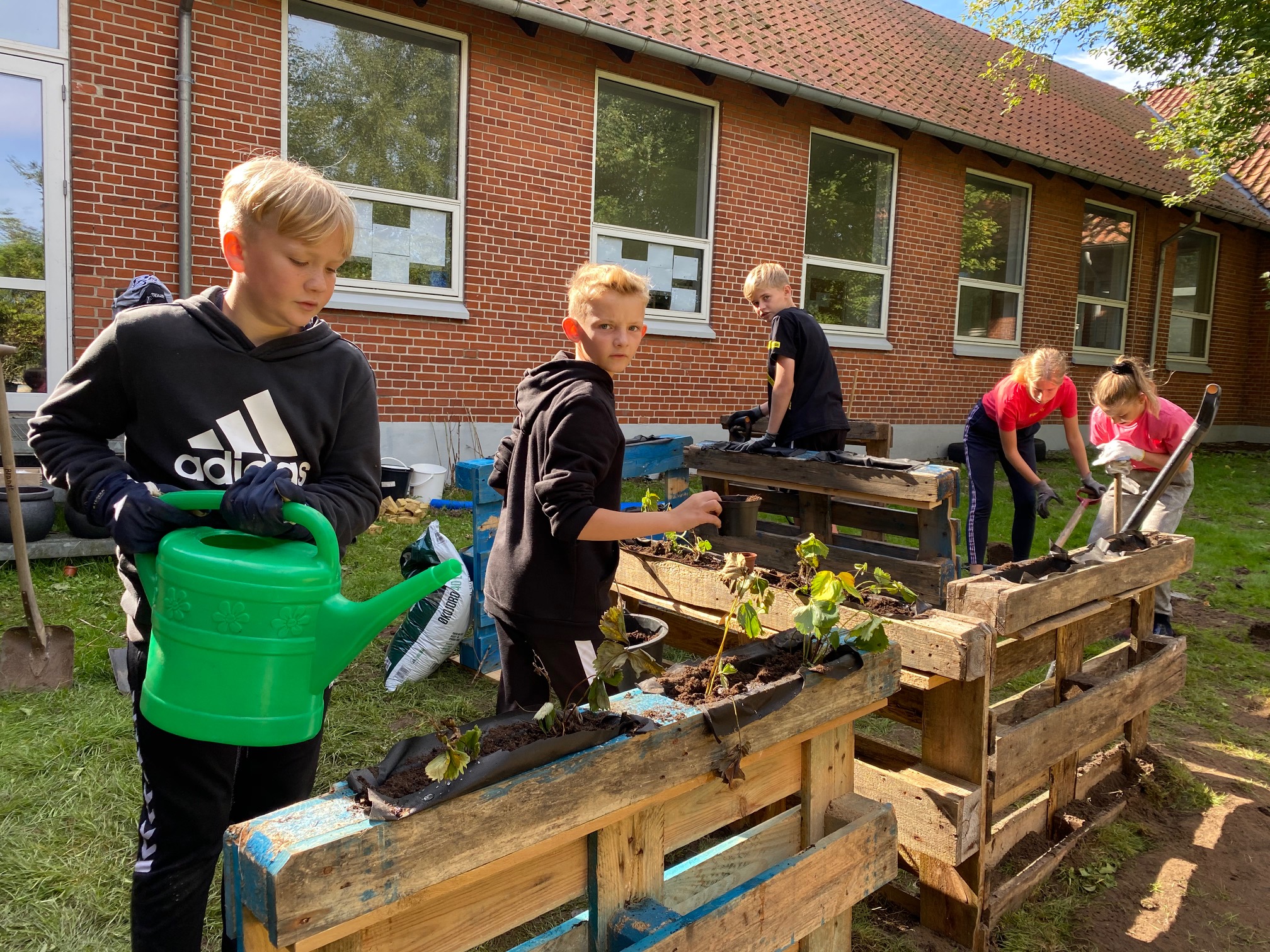 Børn der planter og passer en have bygget med europaller